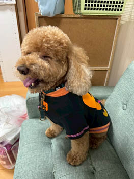 2025年10月31日(金) ハロウィーンパーティー